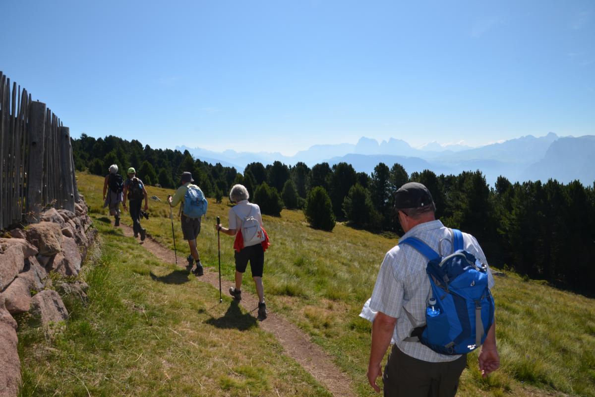 Latschenoelbrennerei und Platzer Alm 23.07.2019